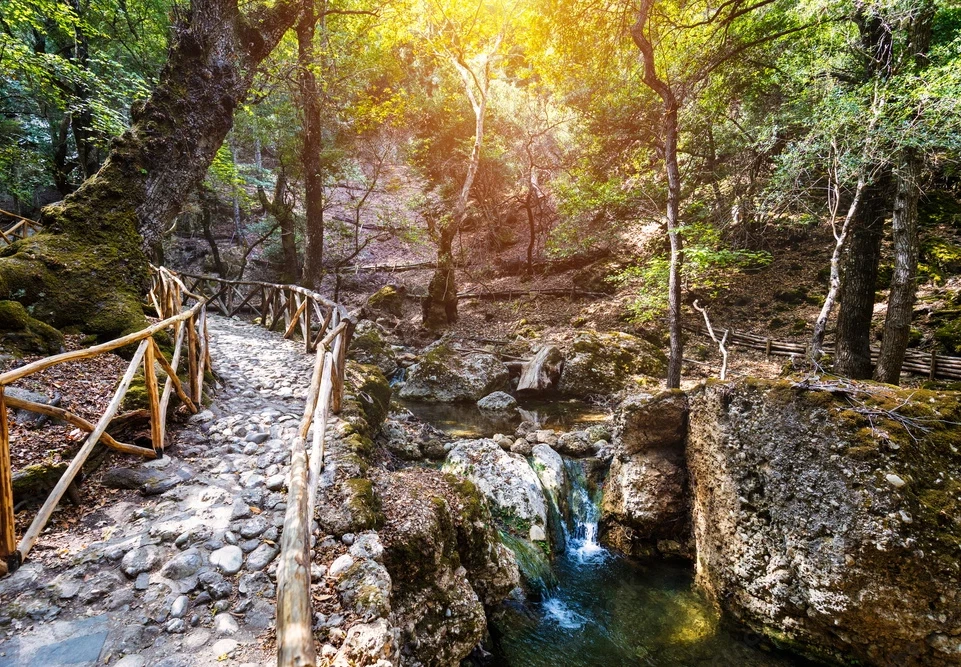 Valley of the Butterflies